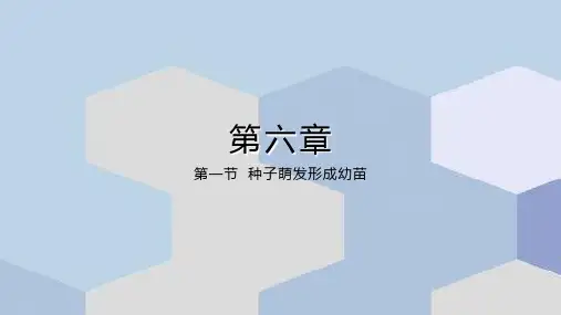 第3单元第六章第一节种子萌发形成幼苗课件(北师大版)
