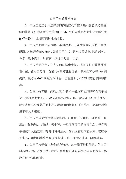 玉兰花的种植方法以及注意事项