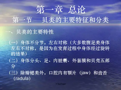 贝类的主要特性