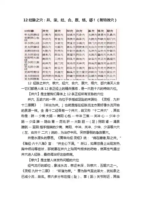 12经脉之穴：井、荥、经、合、原、络、郄！（附特效穴）
