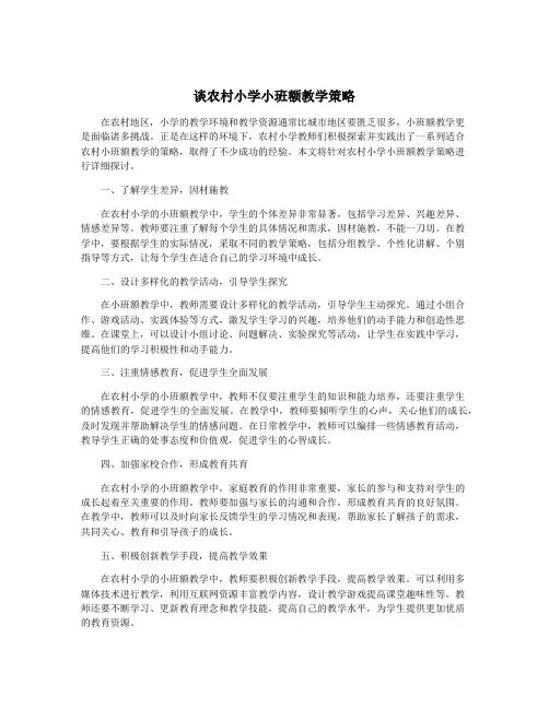 谈农村小学小班额教学策略