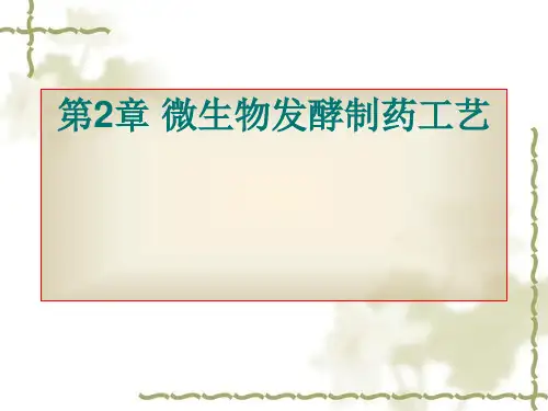 微生物发酵制药工艺