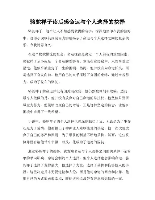 骆驼祥子读后感命运与个人选择的抉择