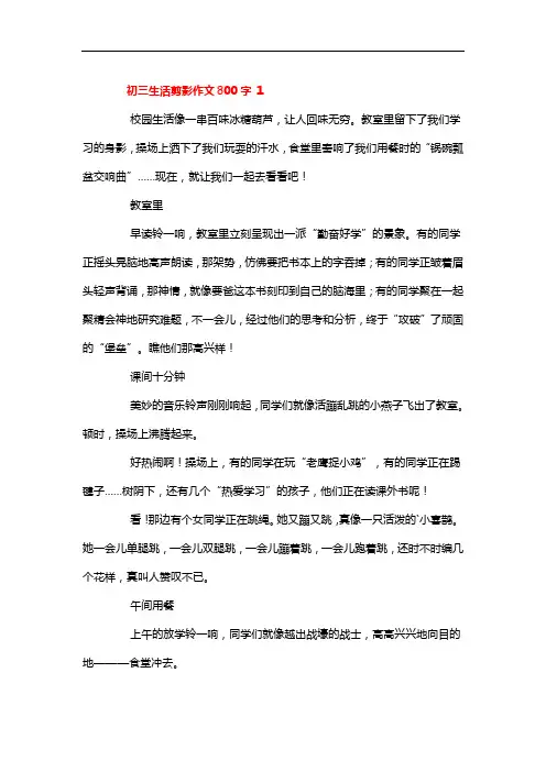 初三生活剪影作文800字