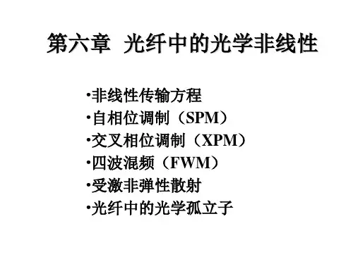 N光波技术基础_06