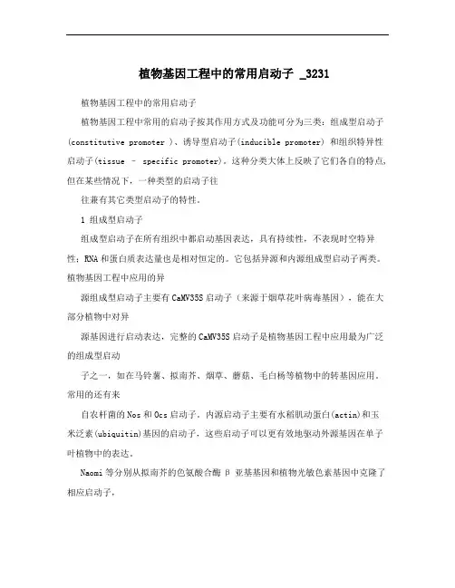 植物基因工程中的常用启动子 _3231