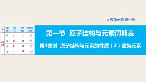 化学人教版(2019)必修第一册4.1.2卤族元素(共21张ppt)