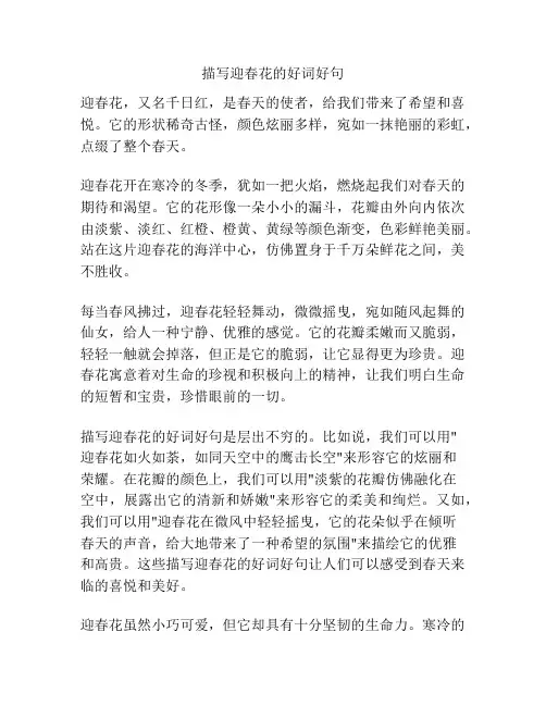 描写迎春花的好词好句