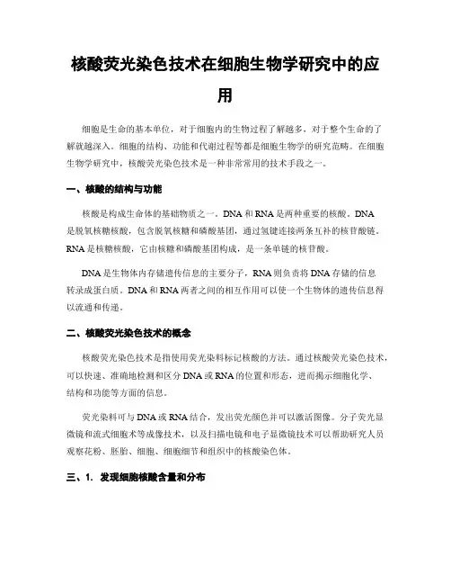 核酸荧光染色技术在细胞生物学研究中的应用