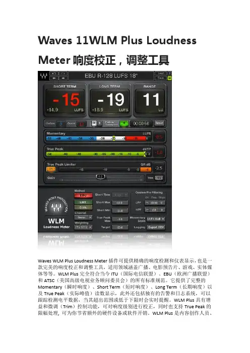 Waves 11WLM Plus Loudness Meter响度校正,调整工具