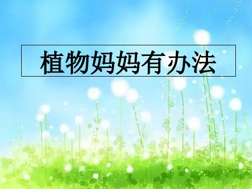 人教部编版二年级语文上册课件：3植物妈妈有办法 (5)(共52张PPT)