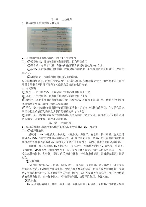 组织胚胎学思考题及答案