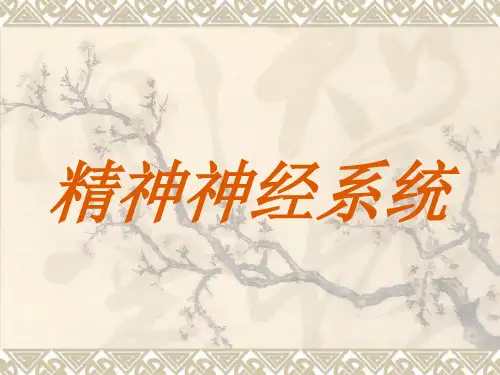 执业医师：精神神经系统