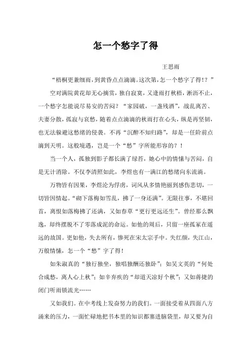 怎一个愁字了得 王思雨