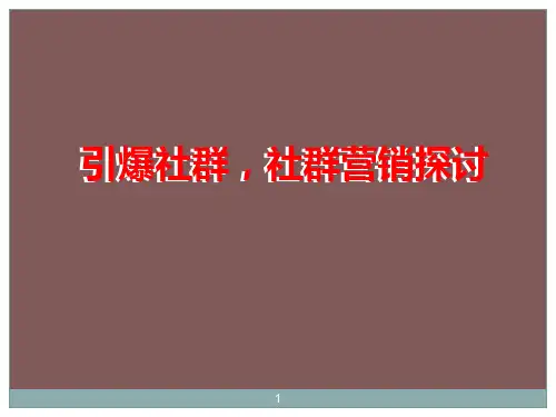 引爆社区社群营销探讨ppt课件