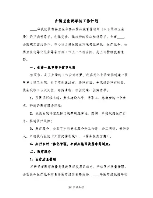 乡镇卫生院年初工作计划(2篇)