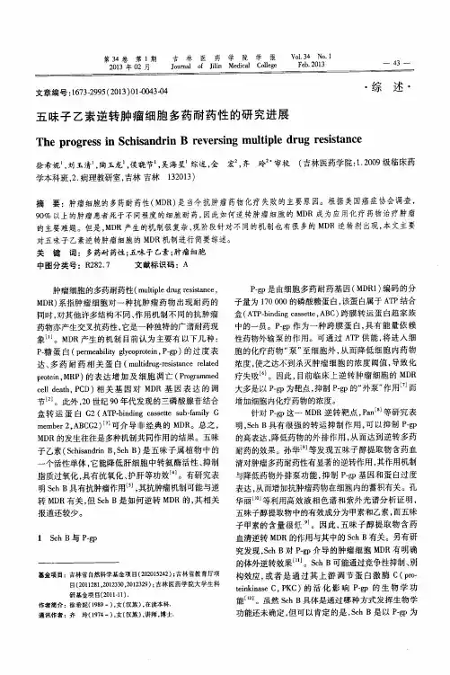 五味子乙素逆转肿瘤细胞多药耐药性的研究进展