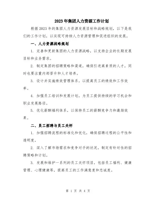 2023年集团人力资源工作计划