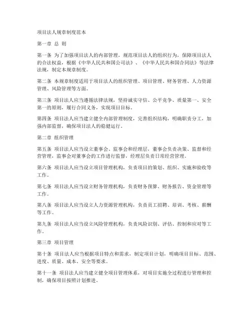 项目法人规章制度范本
