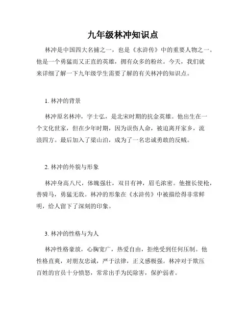 九年级林冲知识点