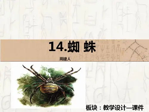 语文版初中七年级语文课文 14  蜘蛛