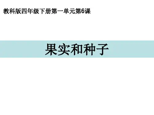 小学科学精品课件：四下1-6果实和种子