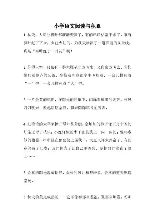 小学语文阅读与积累