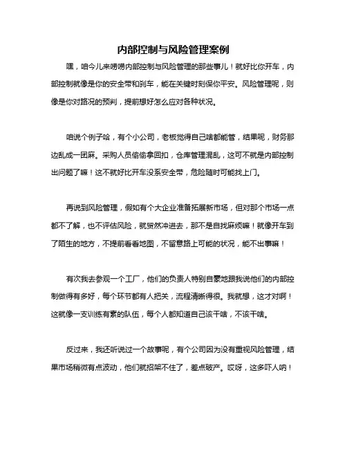 内部控制与风险管理案例