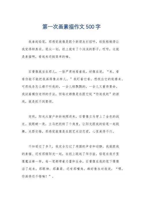 第一次画素描作文500字