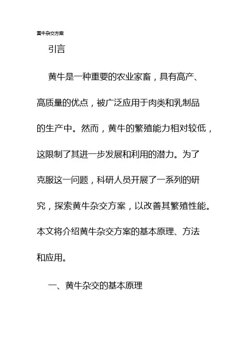 黄牛杂交方案