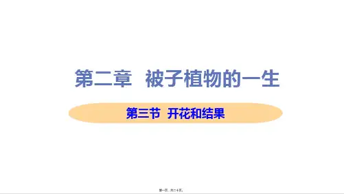 新人教版七年级上册初中生物 课件 第三节 开花和结果 教学课件