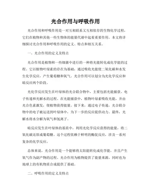 光合作用与呼吸作用
