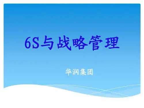6S与战略管理