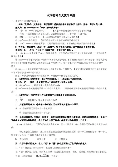 化学符号的含义复习专题