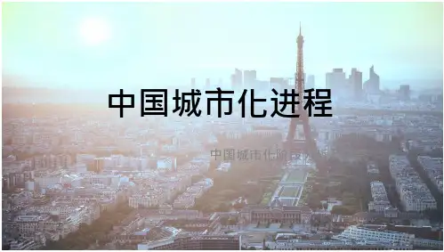 中国城市化进程和问题要点