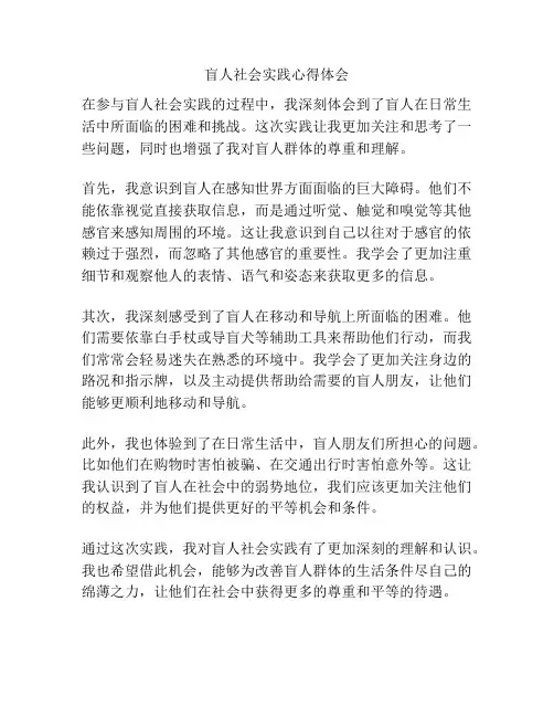 盲人社会实践心得体会