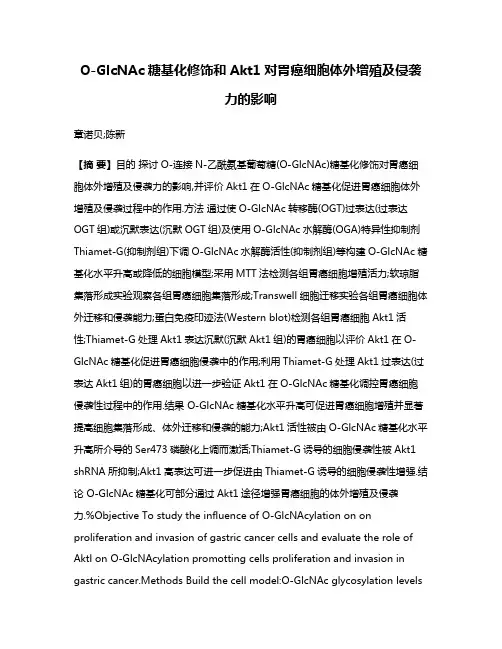 O-GlcNAc糖基化修饰和Akt1对胃癌细胞体外增殖及侵袭力的影响