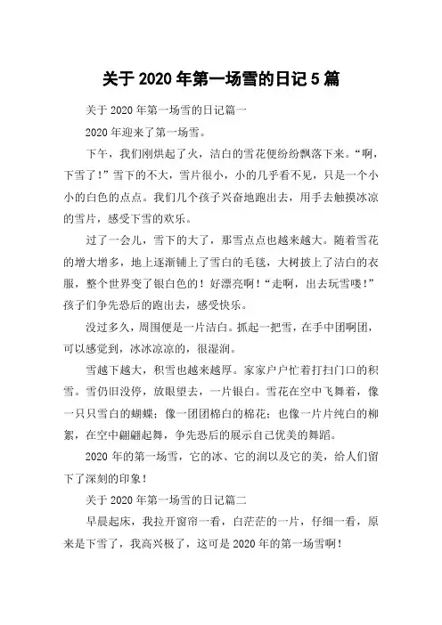 关于2020年第一场雪的日记5篇