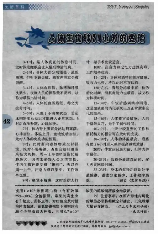 人体生物钟24小时的变化