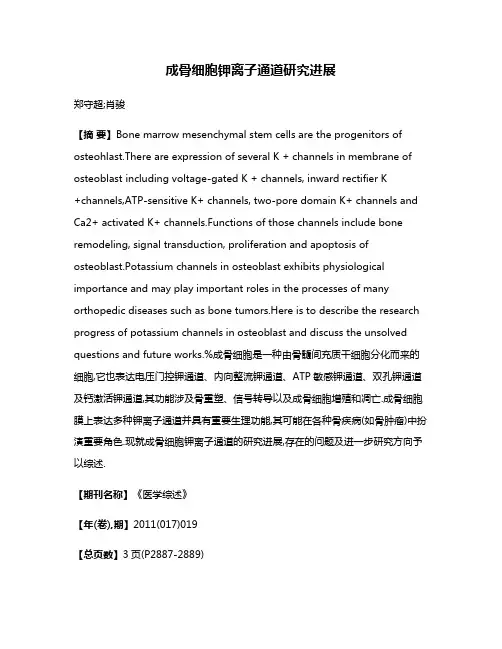 成骨细胞钾离子通道研究进展