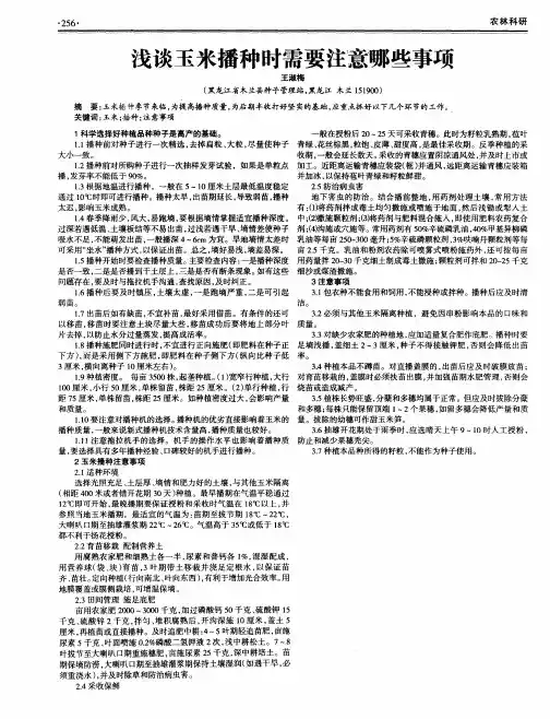 浅谈玉米播种时需要注意哪些事项