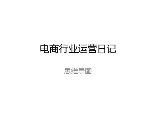 电商行业精细化运营脑图大纲PPT(精华版2024版本)