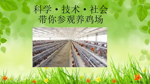 人教版八年级下册生物：科学技术社会 带你参观养鸡场(1)