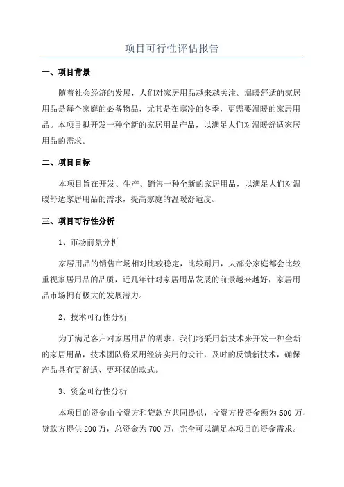 项目可行性评估报告