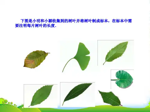 人教版七年级数学上册《近似数》课件(共17张PPT)