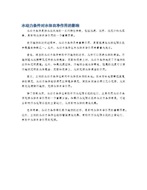 水动力条件对水体自净作用的影响