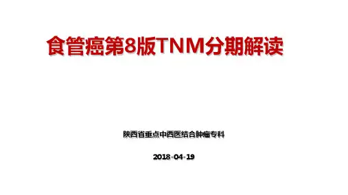 食管癌第八版分期解读 ppt课件
