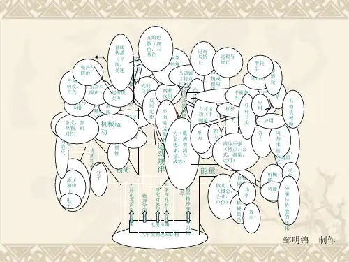 八年级物理知识树