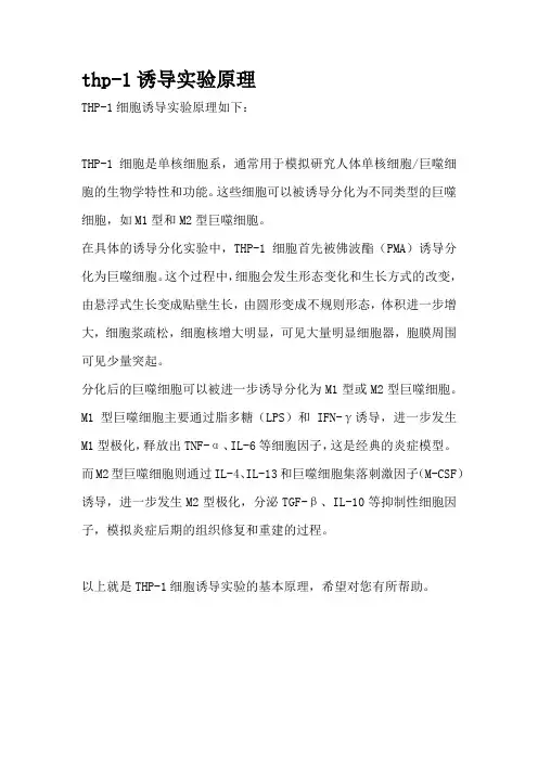thp-1诱导实验原理