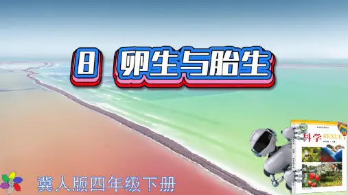 冀教版科学四年级下册8卵生与胎生PPT课件(共25张PPT)